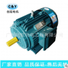 供应 Y2系列 三相异步电动机 3kw 2级 YE2100L-2