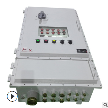东莞厂家直销12回路防爆显示屏配电箱 空开断路器不锈钢配电箱