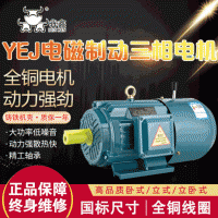 供应刹车电机YEJ6极0.55kw0.75kw1.1kw1.5kw2.2kw电磁制动电动机