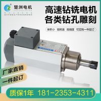 GTW楚洲0.75KW钻孔开槽雕铣高速电主轴高速电机12000转厂家直销