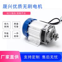 厂家直购24V/48V/60V 800W三轮车改装电机中置无刷减速电机