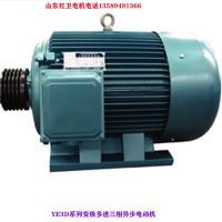 山东厂家直供 YE3D-160L-4/2-11/14KW 变极多速三相异步电动机