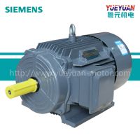 西门子贝得电机IE3 1TL0003-380V-45KW-B3电动机马达纯铜原装正品