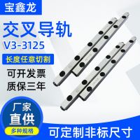 交叉滚柱直线导轨 V3125 交叉导轨双列 V形槽导轨源头厂家