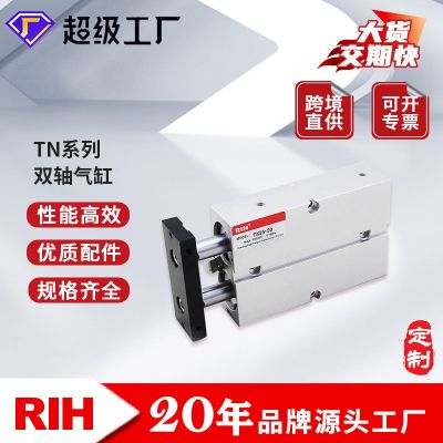 RIH瑞亨 TN导杆气缸 亚德客型双作用型双轴双杆 气动气缸非标定制