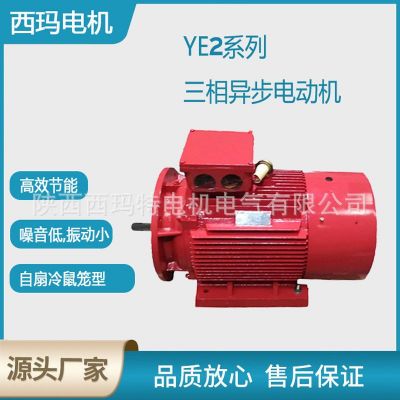 西安西玛电机YE2-315L2-6WF极132KW B3侧右 低压交流三相异步电动