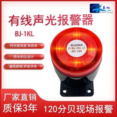 厂家直销声光报警器可做各种颜色防盗喇叭 9v12v24v声光告警器