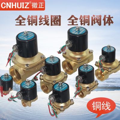 徽正2W全铜电磁阀水阀开关阀电磁控制阀电子排水阀通水阀220V 24V