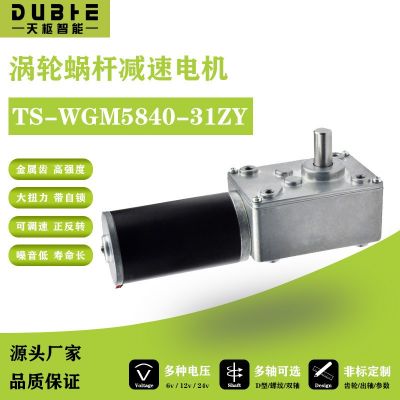 5840-31ZY涡轮蜗杆直流减速电机12v24调速自锁齿轮大 扭矩双轴马达